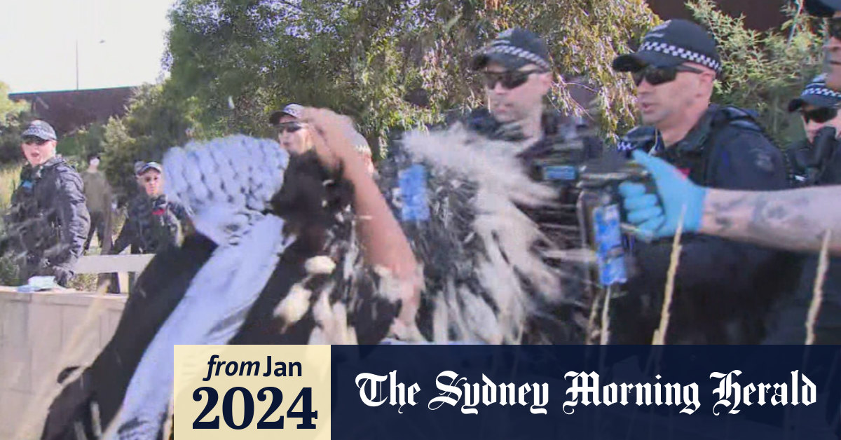 Video: Police on horseback descend on pro-Palestine protest at major